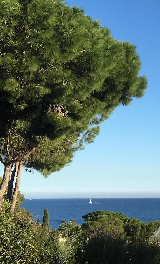 Chambres D'Hotes Vue Mer Mer A 2 Min A Pied Sainte-Maxime 0*,  France